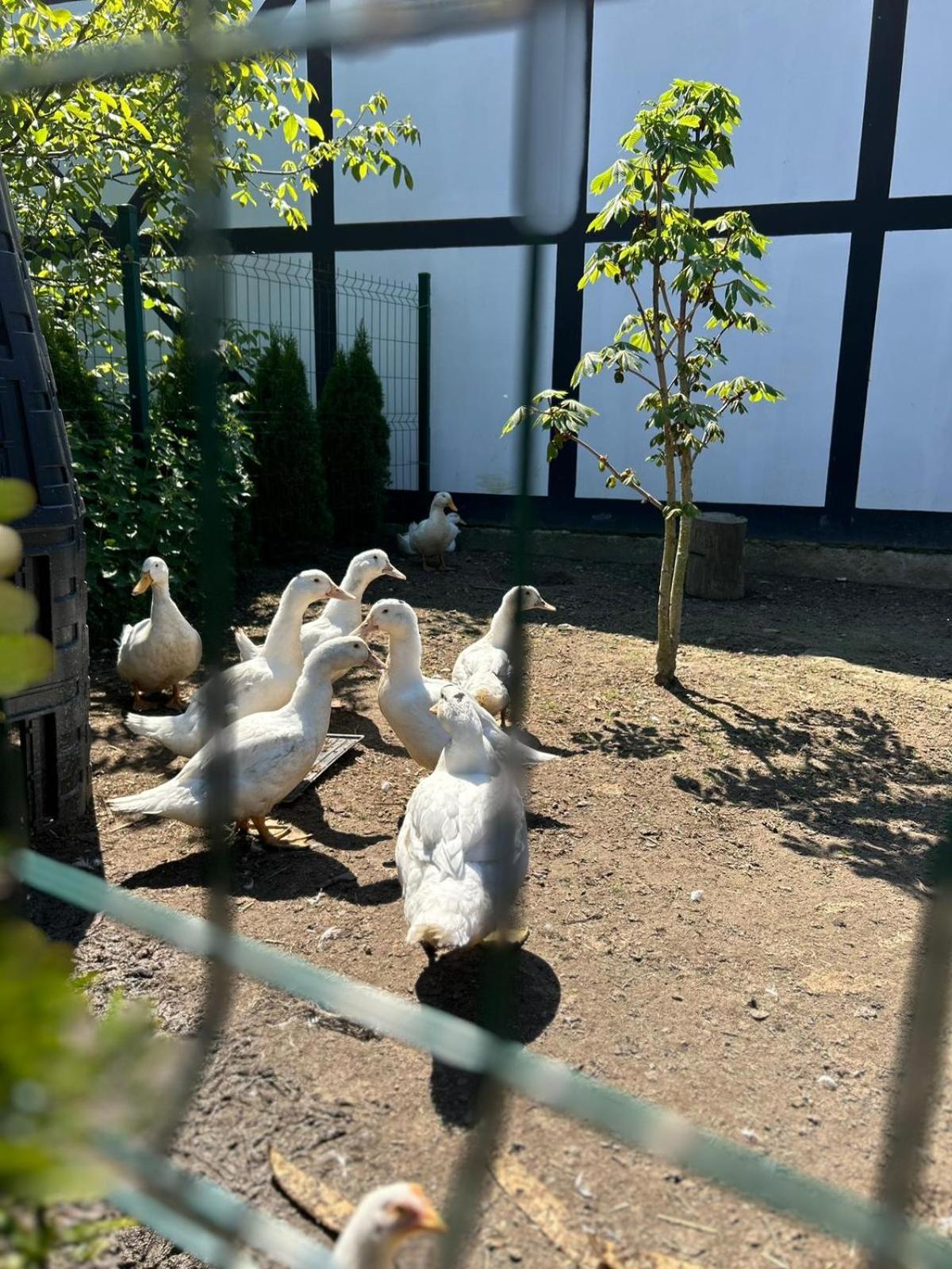 Pokoje Goscinne Nad Morzem Bobolin Esterno foto