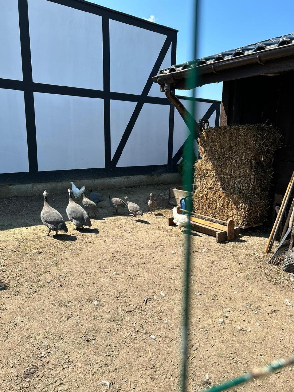Pokoje Goscinne Nad Morzem Bobolin Esterno foto